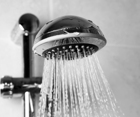 shower head