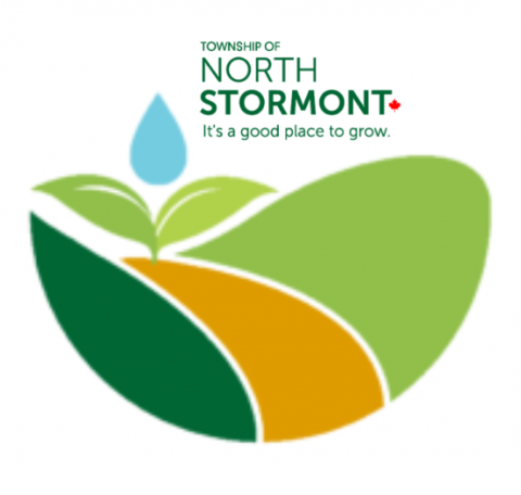 ns logo