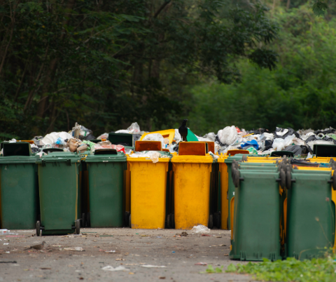 landfill
